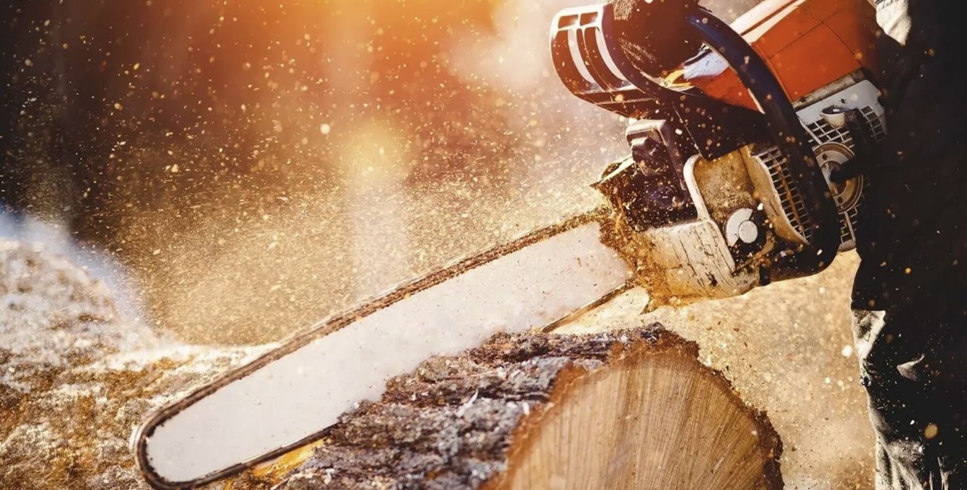 Professional chainsaw cutting wood for tree service in Mankato, MN